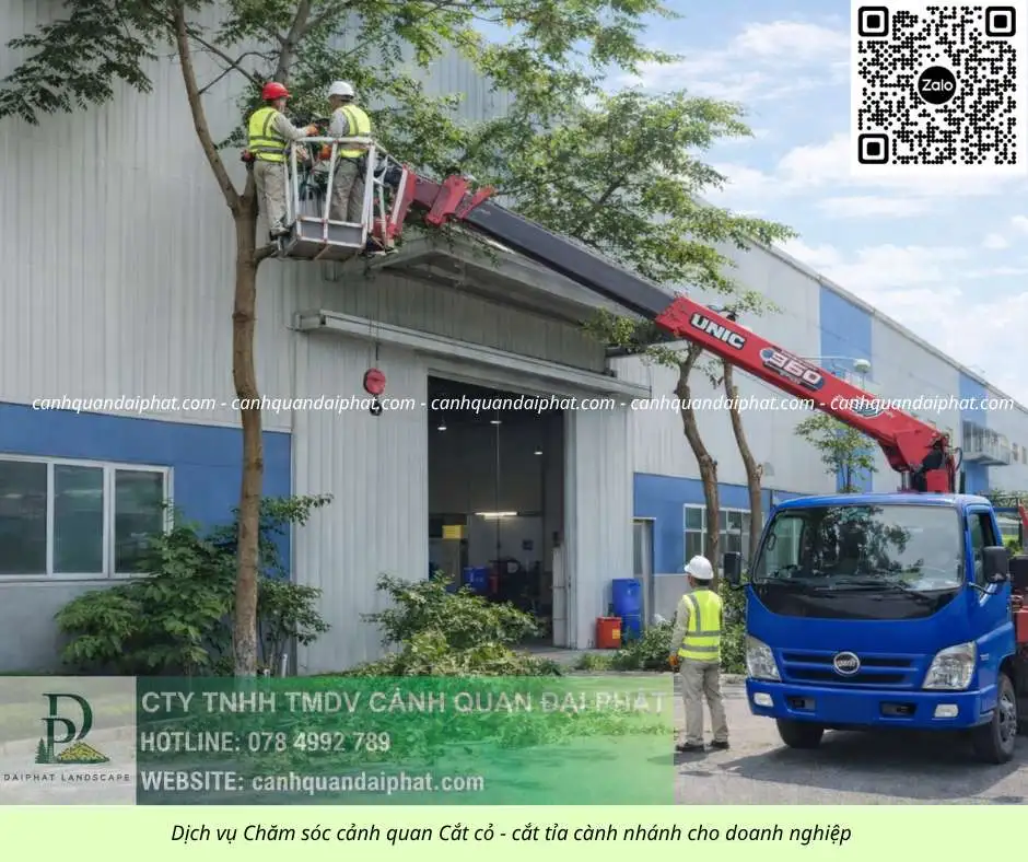 Dịch vụ cưa cây cắt cỏ doanh nghiệp đồng nai 050226 7.webp