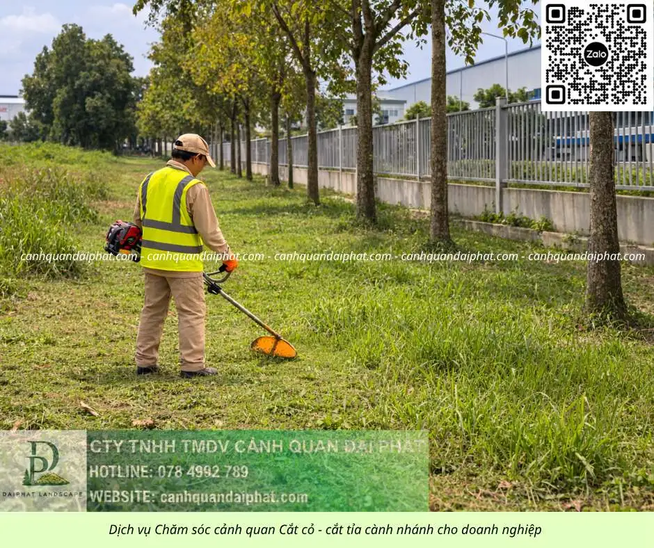 Dịch vụ cưa cây cắt cỏ doanh nghiệp đồng nai 050226 8.webp