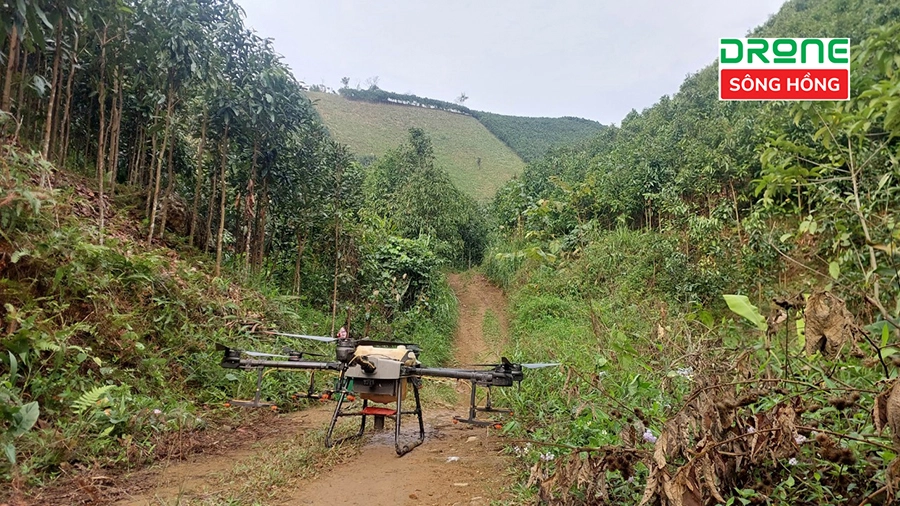dich-vu-phun-thuoc-bang-may-bay-nong-nghiep-tren-cay-que-tai-yen-bai-2.webp