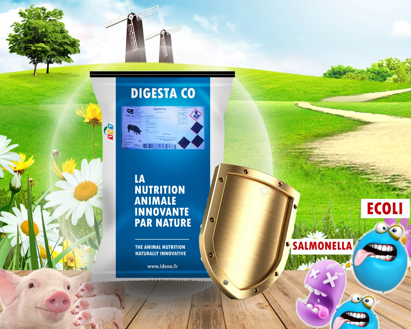 dIGESSTA cO.333.webp