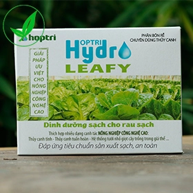 dinh-duong-thuy-canh-hydro-leafy-1.webp
