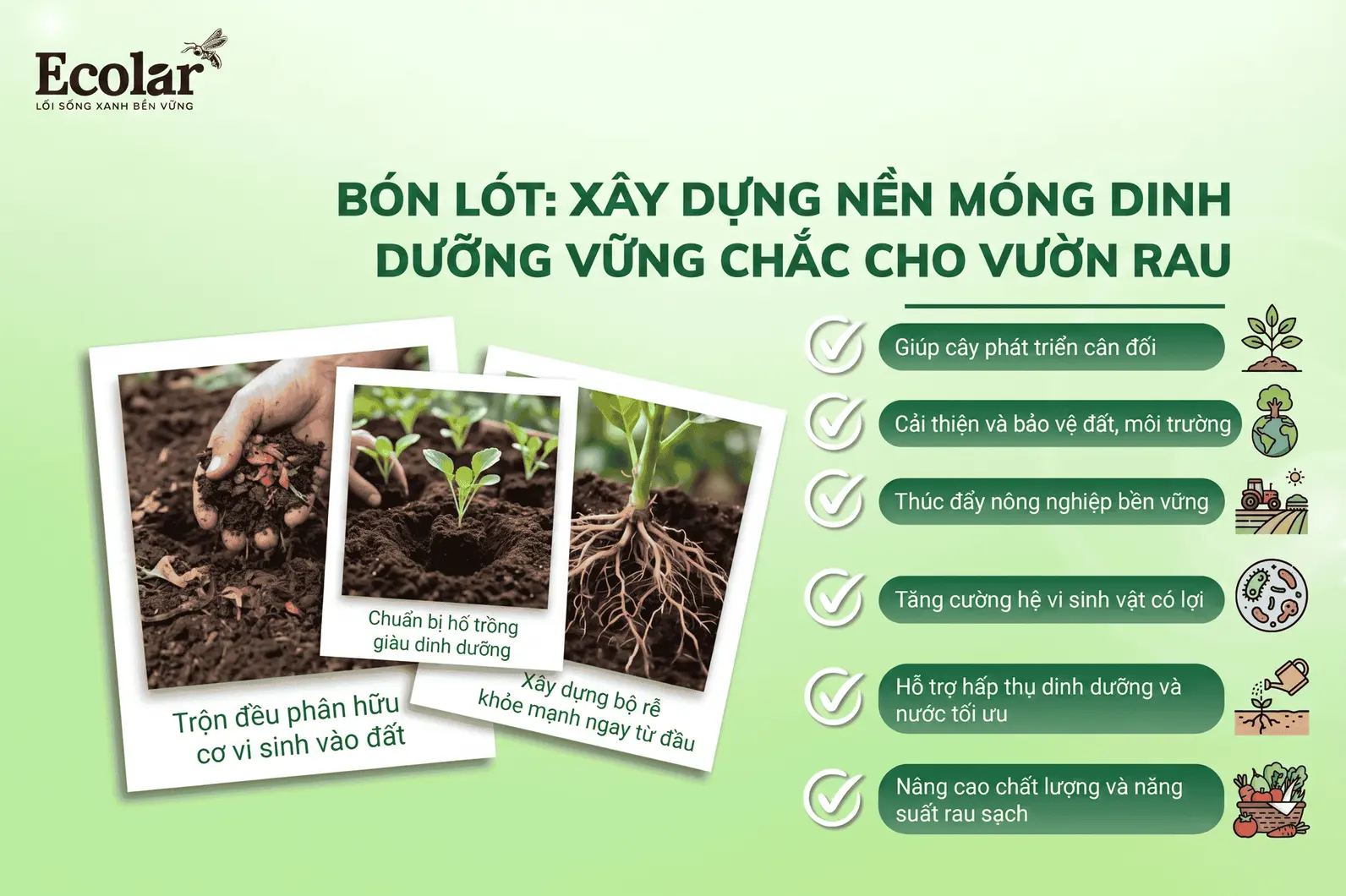 -dinh-duong-vung-chac-truoc-khi-trong_3e38c0f89cbd403cbf4ea88ae3406673.webp