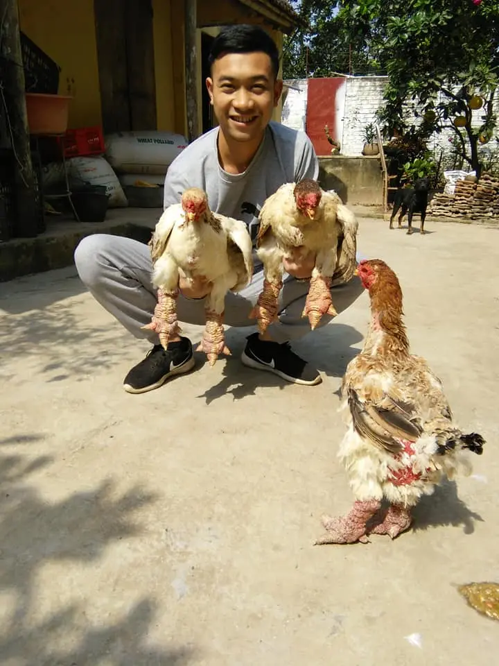 đông tảo tây.webp