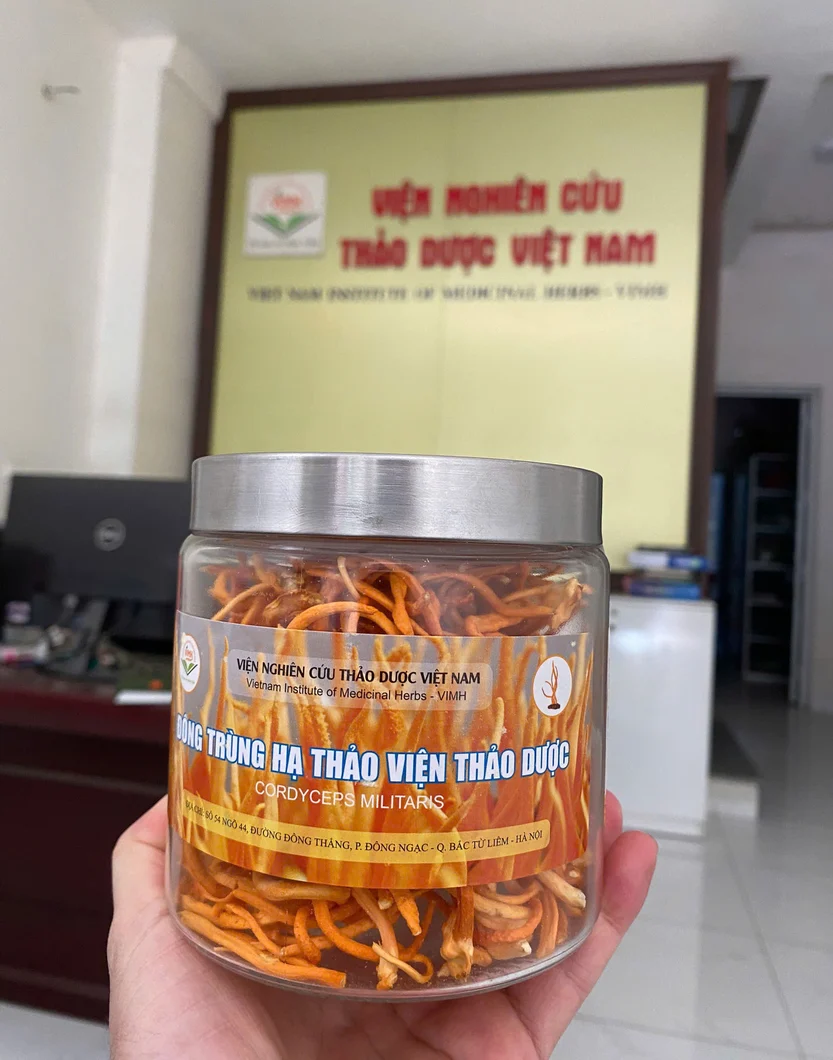 đông trùng hạ thảo viện nghiên cứu thảo dược việt nam  (2).webp