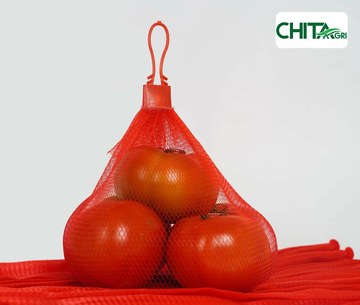 Sản xuất và cung cấp dây đai nhựa