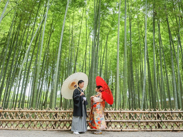 du lich rung truc dai_tre moso.jpg