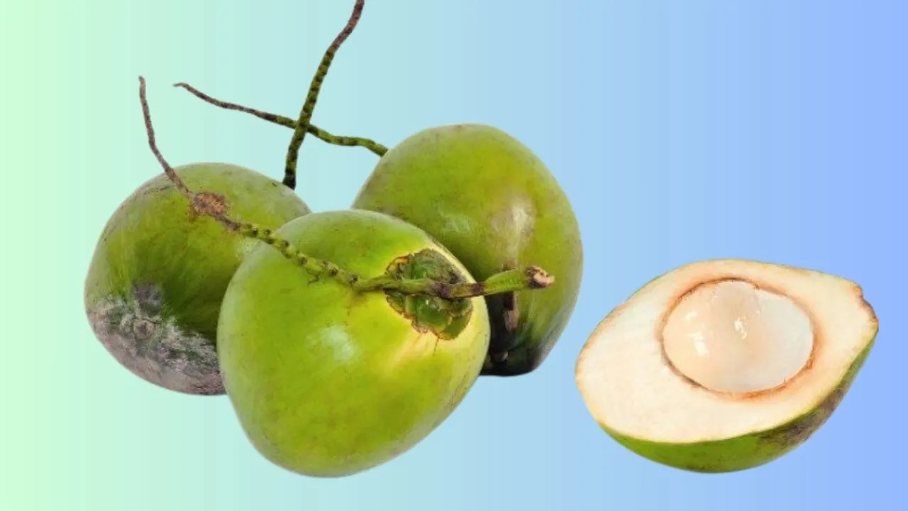 Cùng Trái Cây Tứ Quý tìm hiểu về những lợi ích của quả dừa