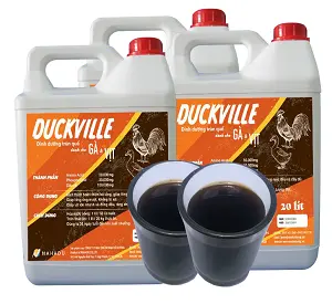 duckviile - Copy.webp