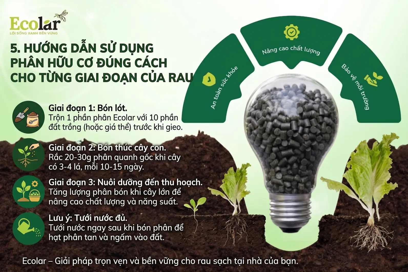 -dung-cach-cho-tung-giai-doan-cua-rau_fbedd8aae5854bed909780657b9bda73.webp