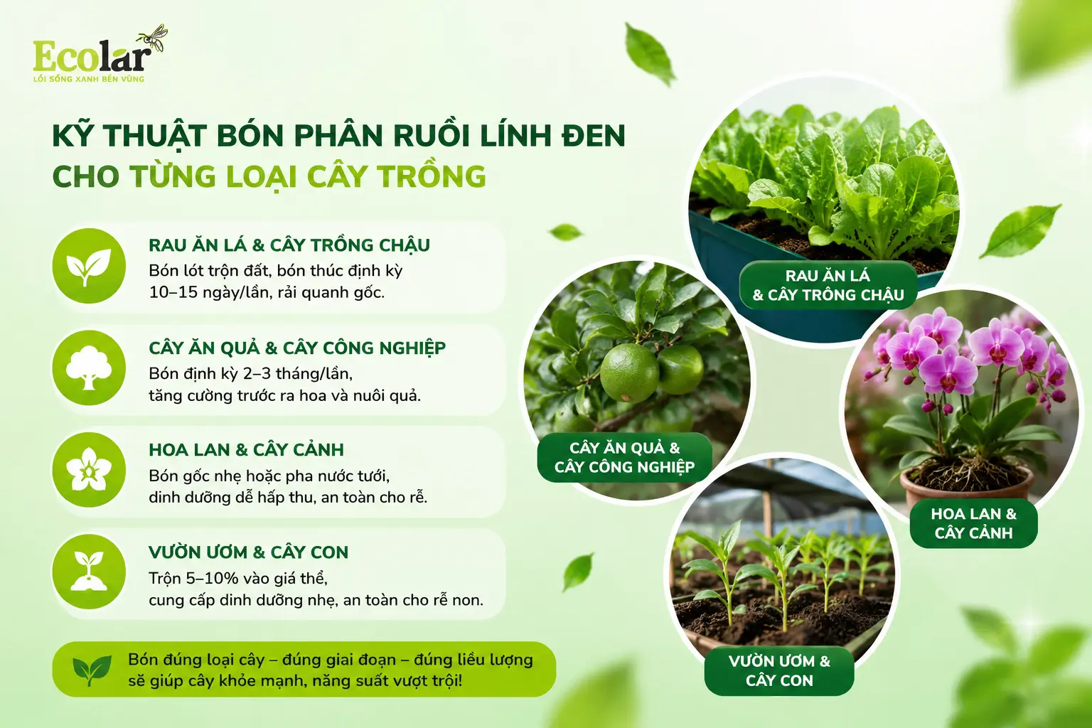 dung-cach-lai-quan-trong-hon-ban-nghi_2cd3449adf854ad3b6138b1cedc024fd.webp