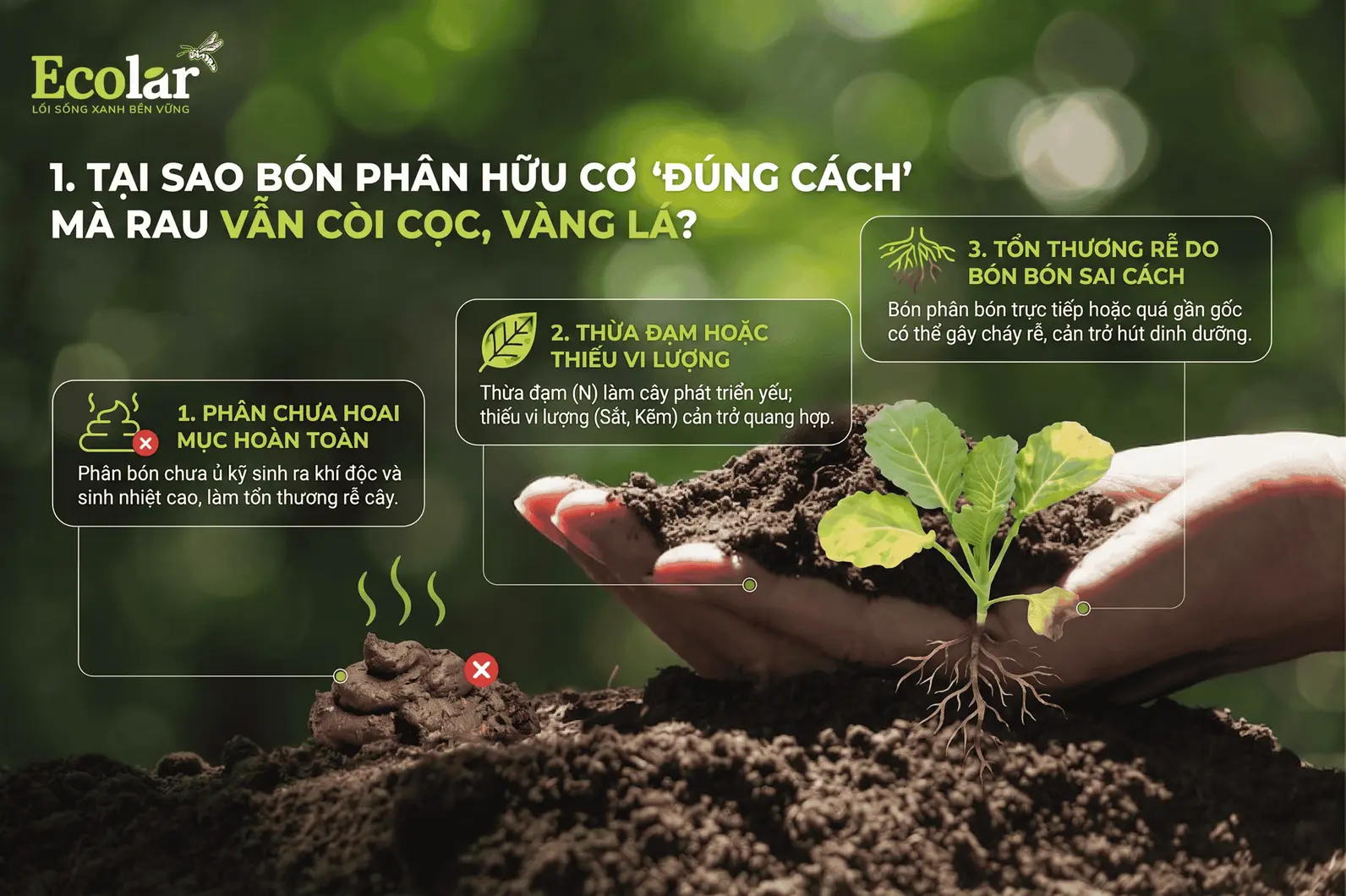 -dung-cach-ma-rau-van-coi-coc-vang-la_7b65f9b5eba3495f8d345e37594b2df8.webp