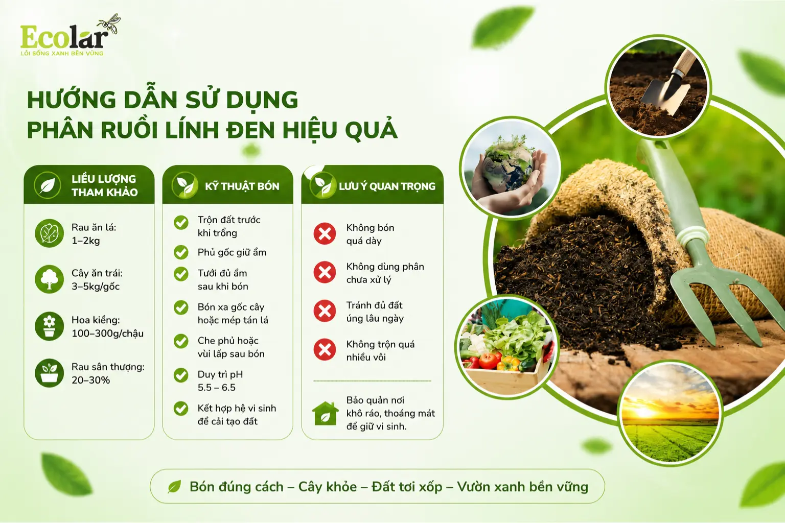 -dung-phan-bon-ruoi-linh-den-hieu-qua_09fc424630cf4fe4b23d925e2012ee1a.webp