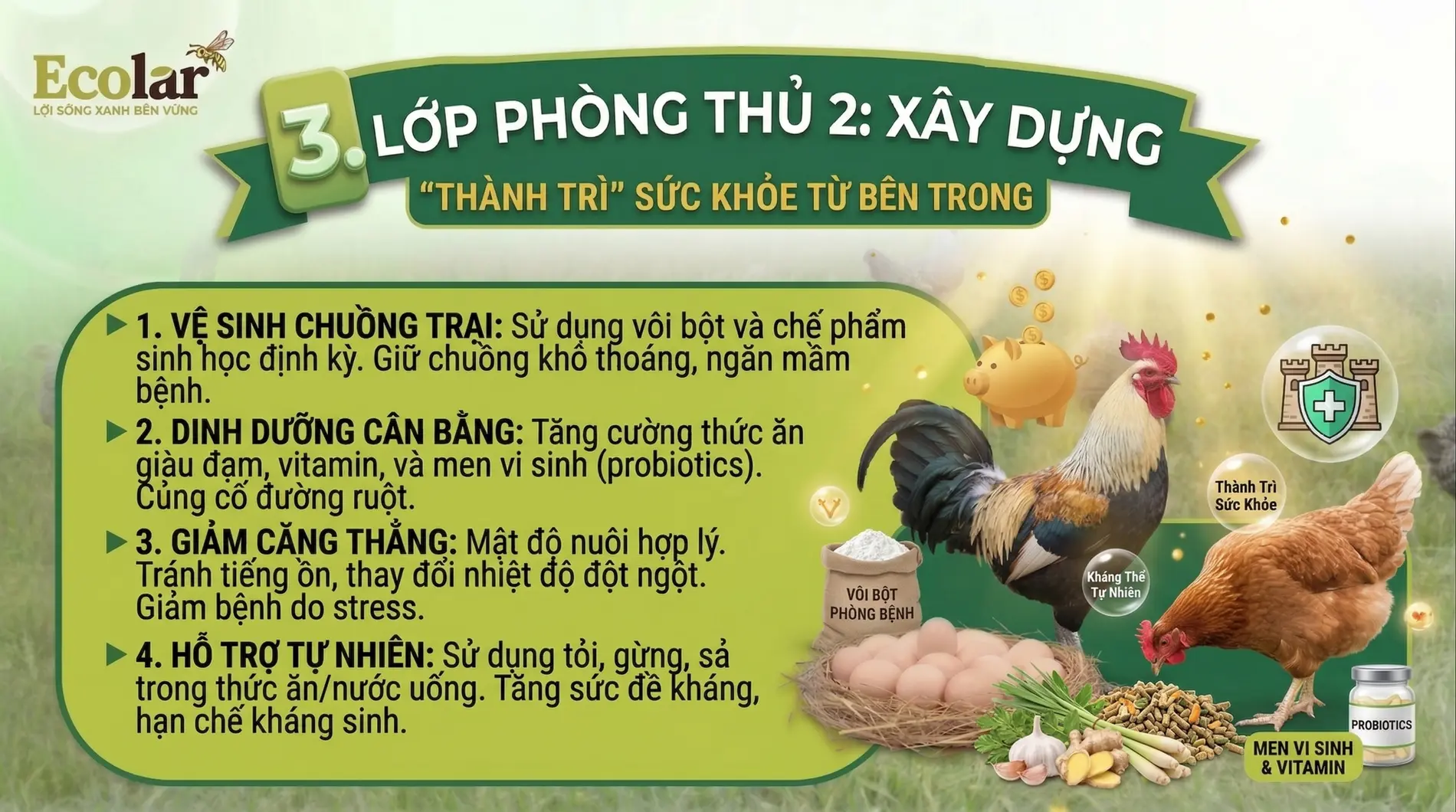 -dung-thanh-tri-suc-khoe-tu-ben-trong_573e3cab1a364b9a9710921466fd4d9a.webp