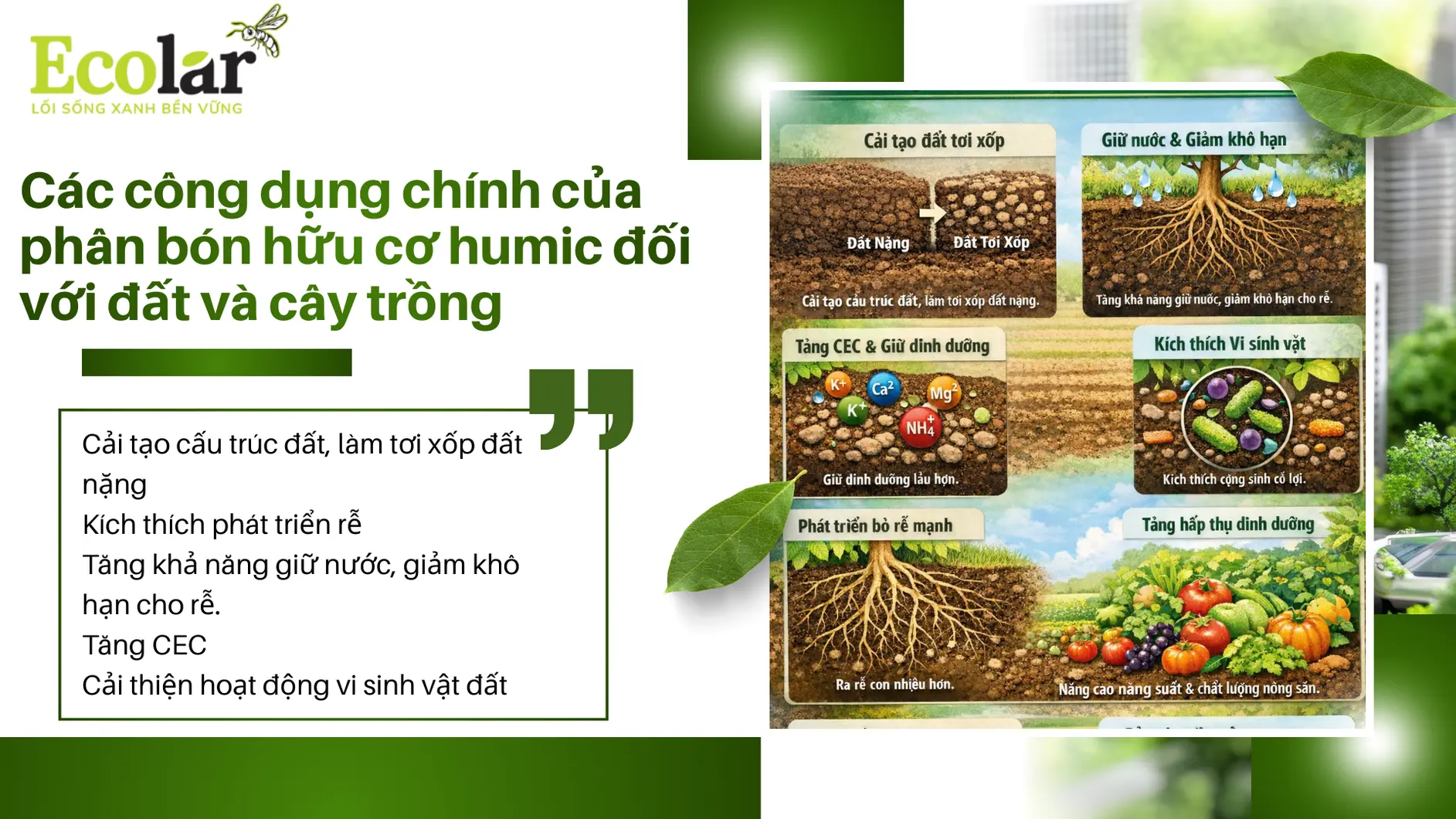 dung_chinh_cua_phan_bon_huu_co_humic__3af4f7a80e1640b9a72746513ca037a3.webp