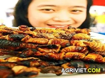 duong dua nuong.webp