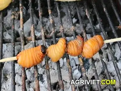 duong dua xien nuong.webp