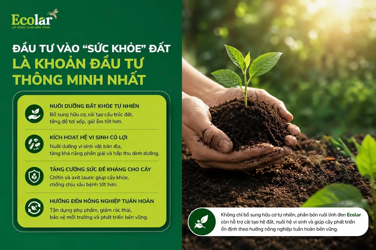 e-dat-la-khoan-dau-tu-thong-minh-nhat_6540f520ff6740f48e283e326e1721e0.webp
