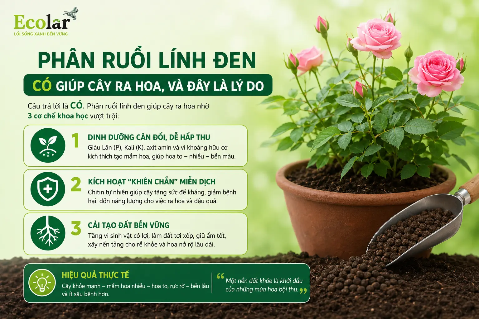 en-co-giup-cay-ra-hoa-va-day-la-ly-do_f833c6fc6faf4627973a66b5dc26ef22.webp