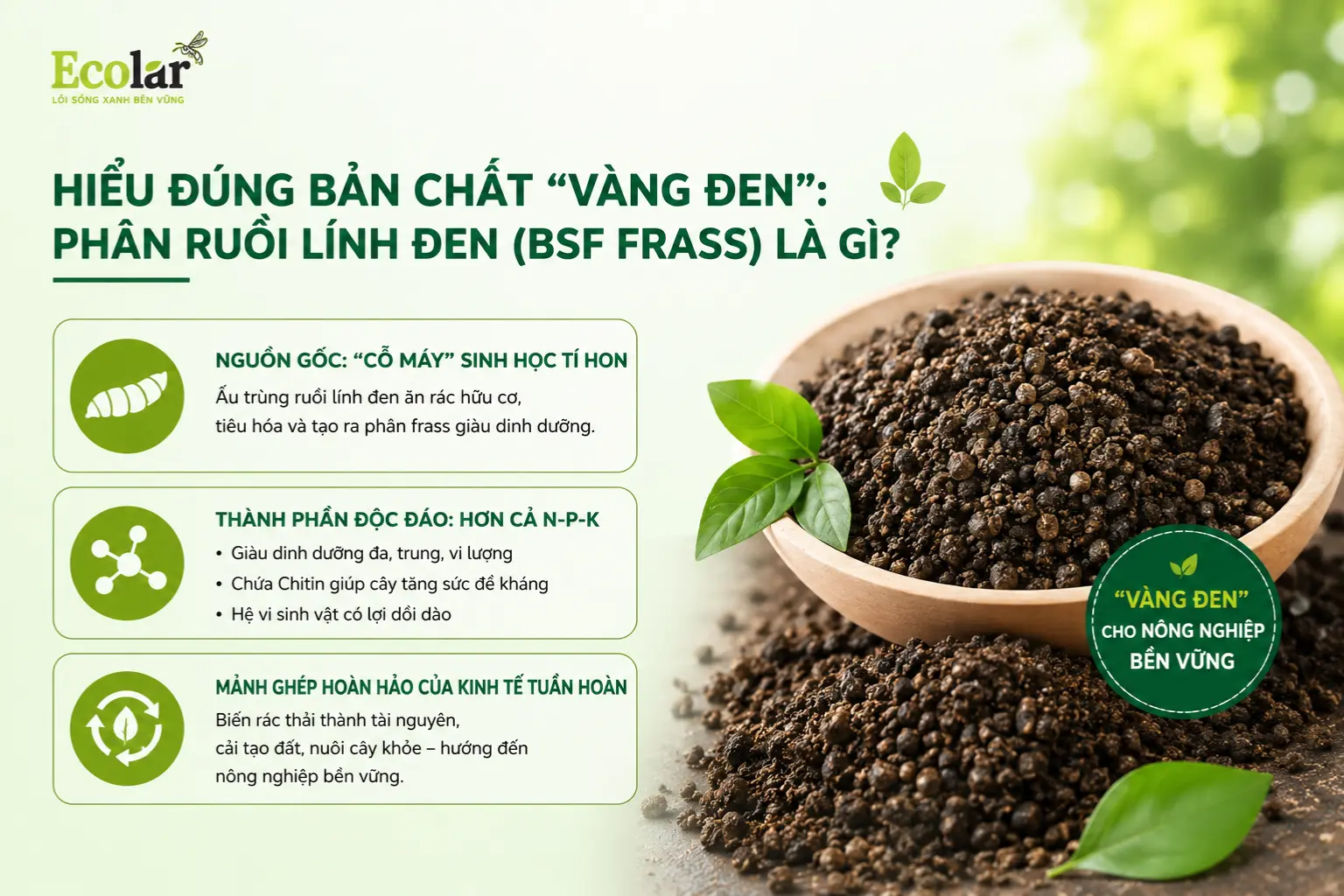 en-phan-ruoi-linh-den-bsf-frass-la-gi_fbaf3374ac3b483b95b7befefe8f3bb7.webp