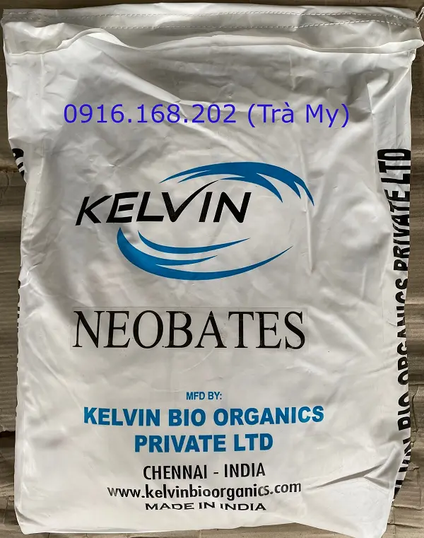 enzyme-giam-tao do.webp