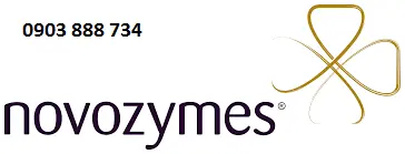 ENZYME.webp