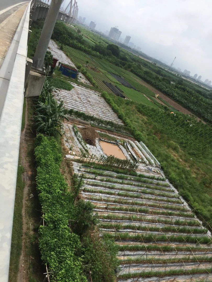 Tim nguoi Cùng trồng và ăn rau sạch (cau Nhật Tân)