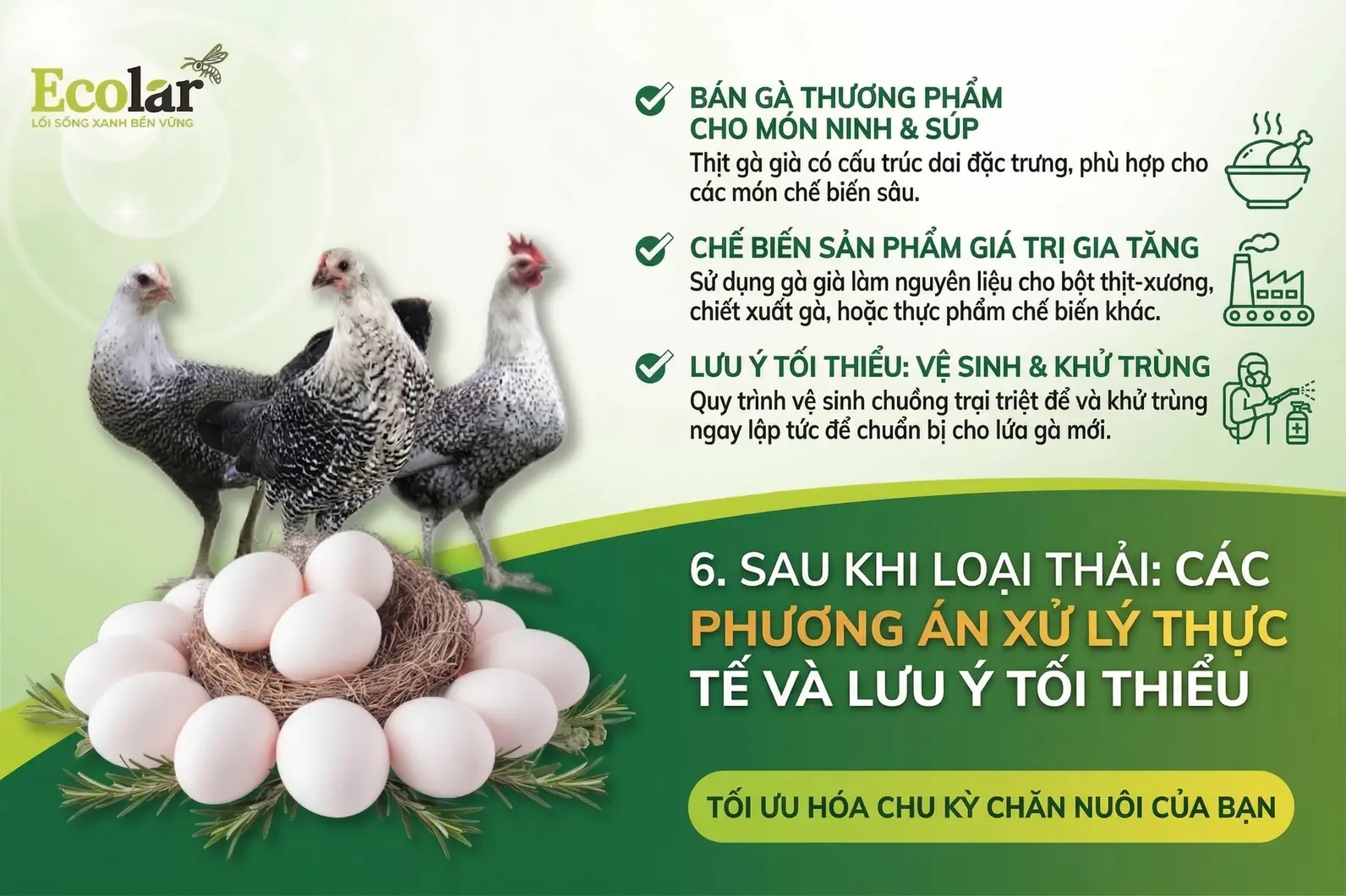 g-an-xu-ly-thuc-te-va-luu-y-toi-thieu_a339f58c1ee94857bde337a9f053595d.webp