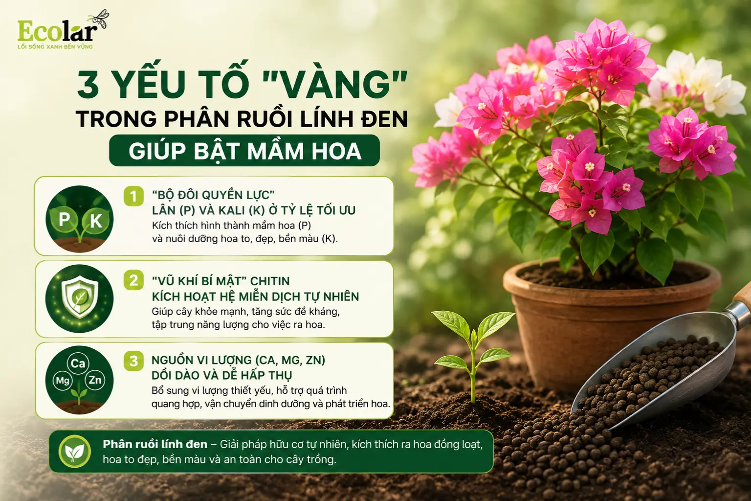 g-phan-ruoi-linh-den-giup-bat-mam-hoa_6134595eb68f43269e82ab76a5140fd5.webp