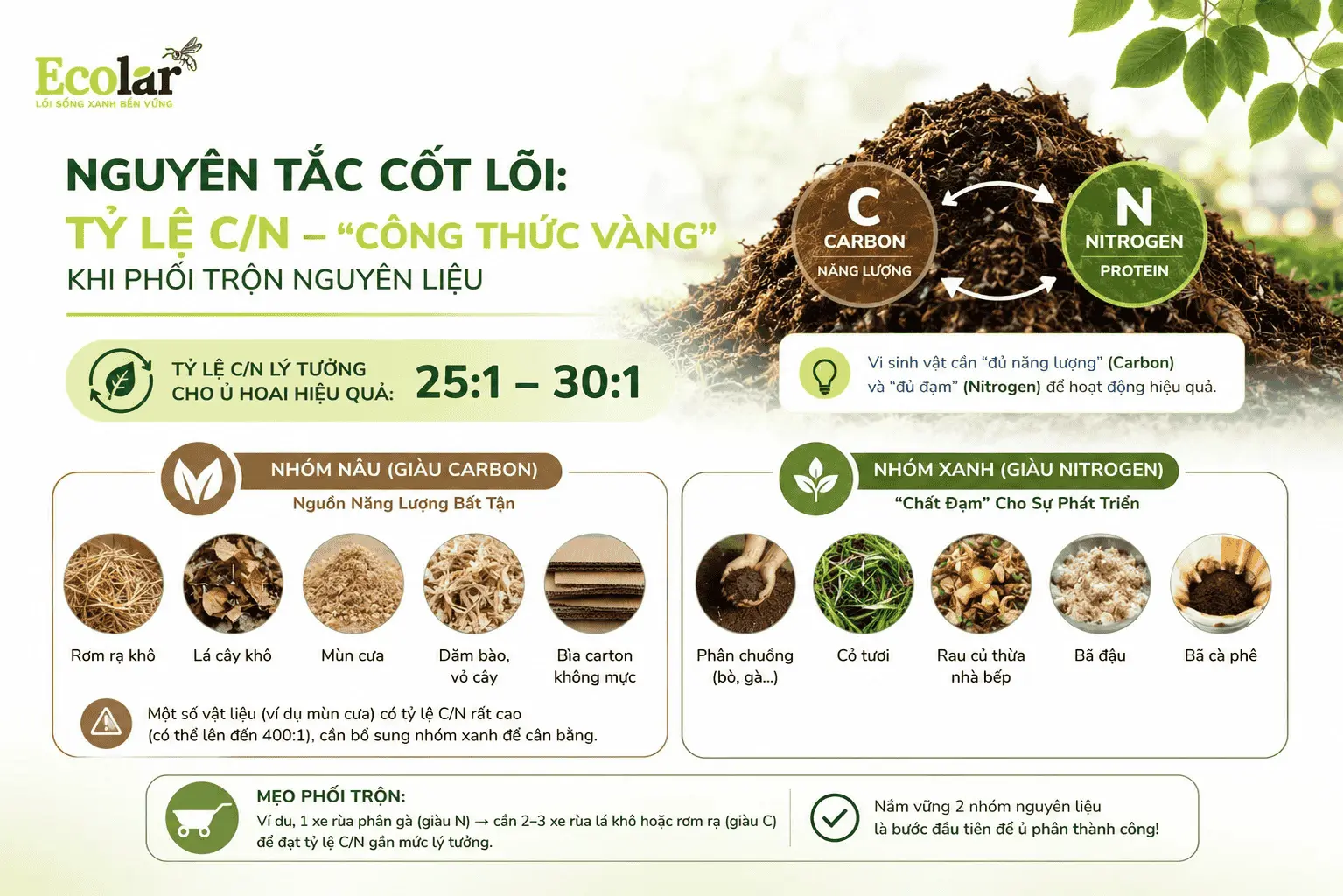 g-thuc-vang-khi-phoi-tron-nguyen-lieu_d7854070c11c44ecb3aca548a1dc7472 (1).webp
