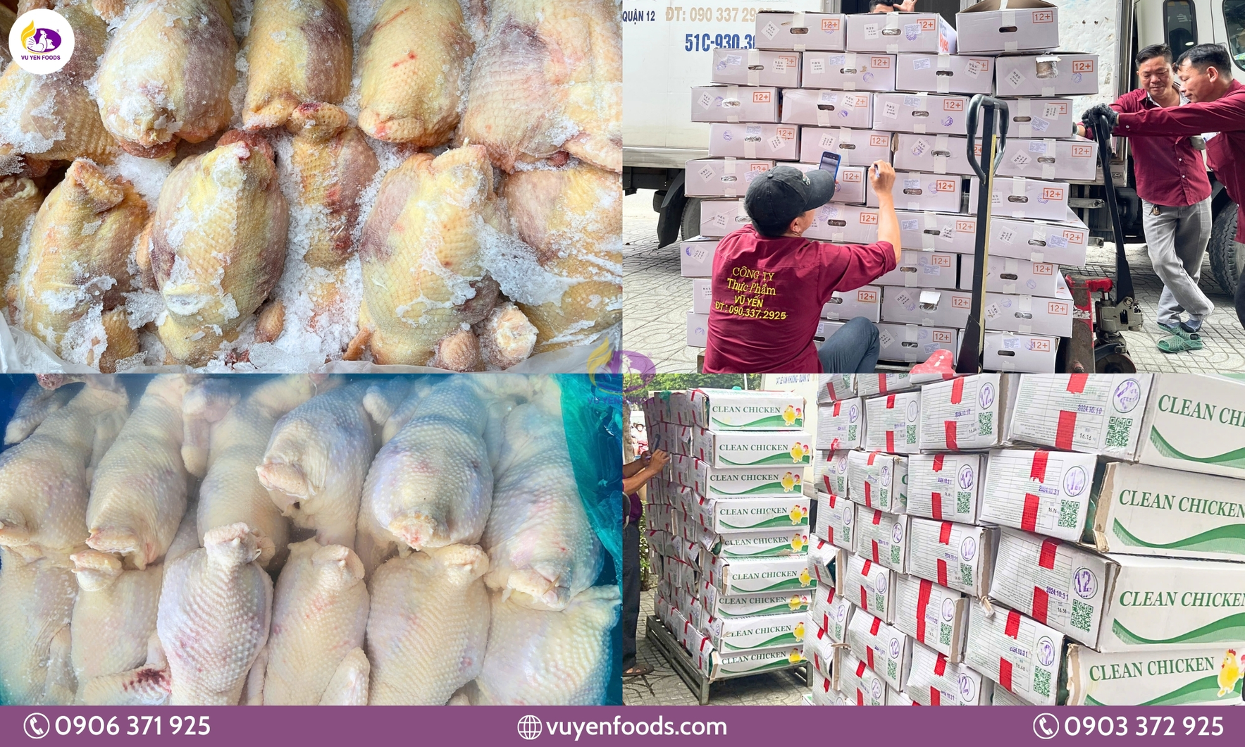 GÀ ĐÔNG LẠNH (4).webp