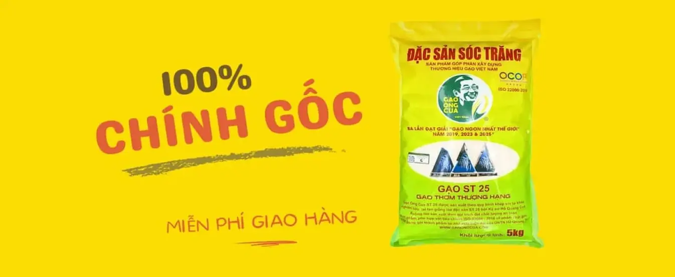 gao-ngon-st25-o-ha-noi.webp