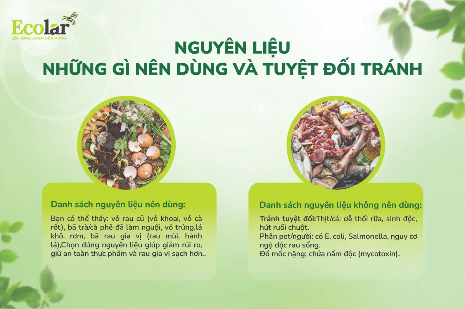 -gi-nen-dung-va-tuyet-doi-tranh-02-02_ecab652f9c9a49acbbe2b323ae169bd1.webp