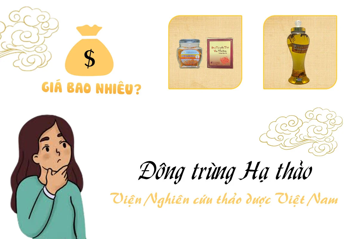 gia dong trung ha thao vien nghien cuu thao duoc viet nam.webp