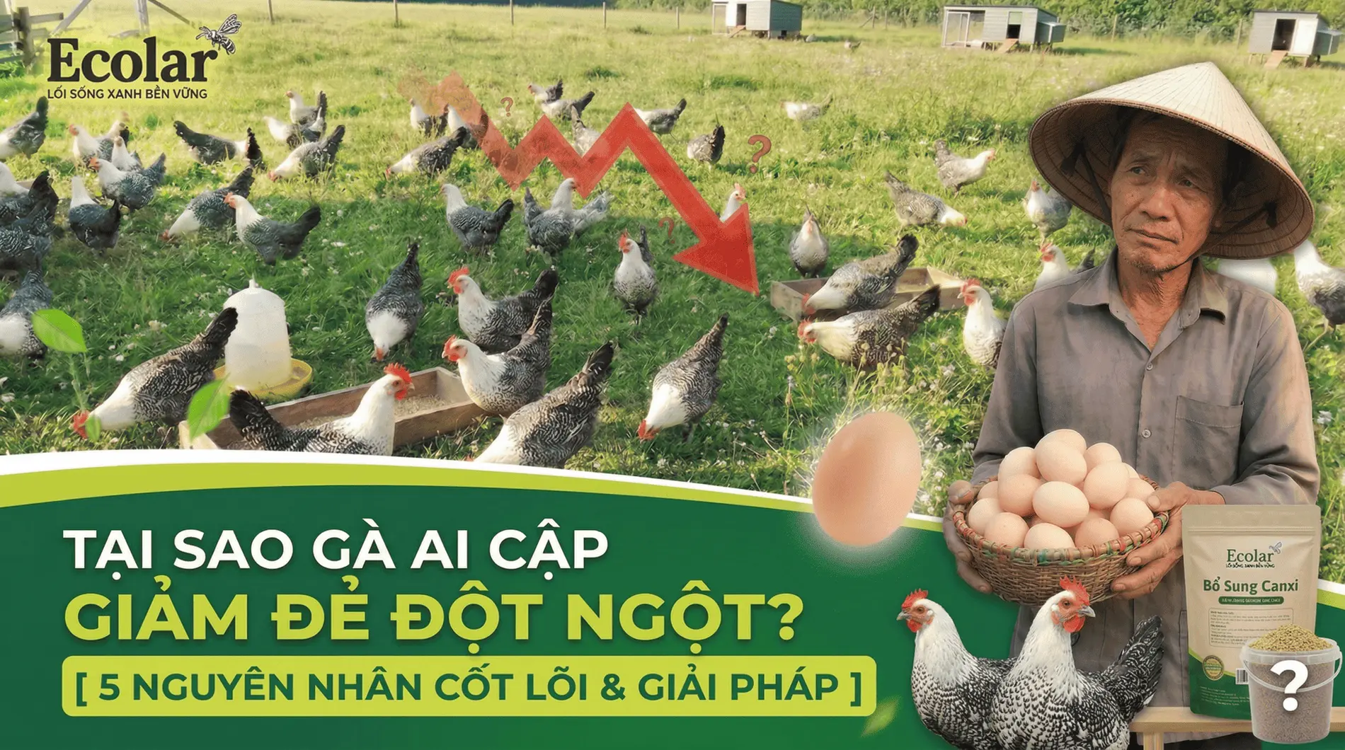 giai-ma-7-nguyen-nhan-ga-ai-cap-giam-de-dot-ngot_0e27c2439ab9426782e9ad628e594020.webp