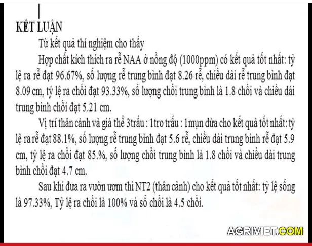 giam canh chanh bong tim.webp