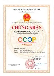 giấy chứng nhận 5 sao.webp
