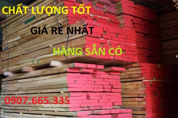 gỗ dẻ gai châu âu.webp