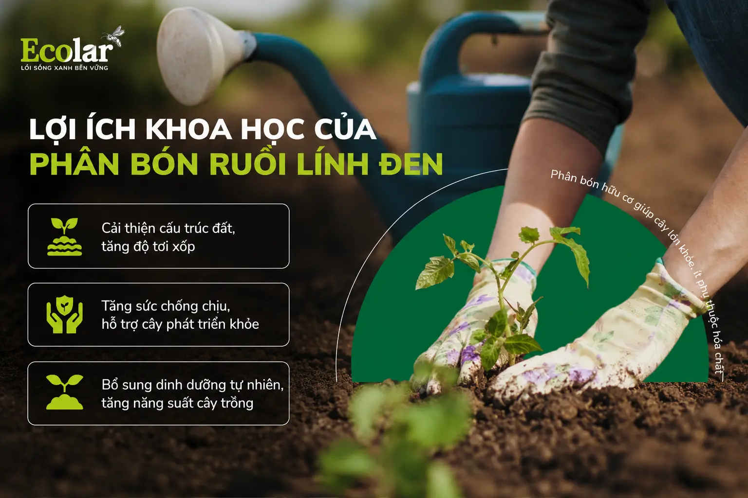 h-khoa-hoc-cua-phan-bon-ruoi-linh-den_ed72764f403f48d985e97954235f4f42.webp