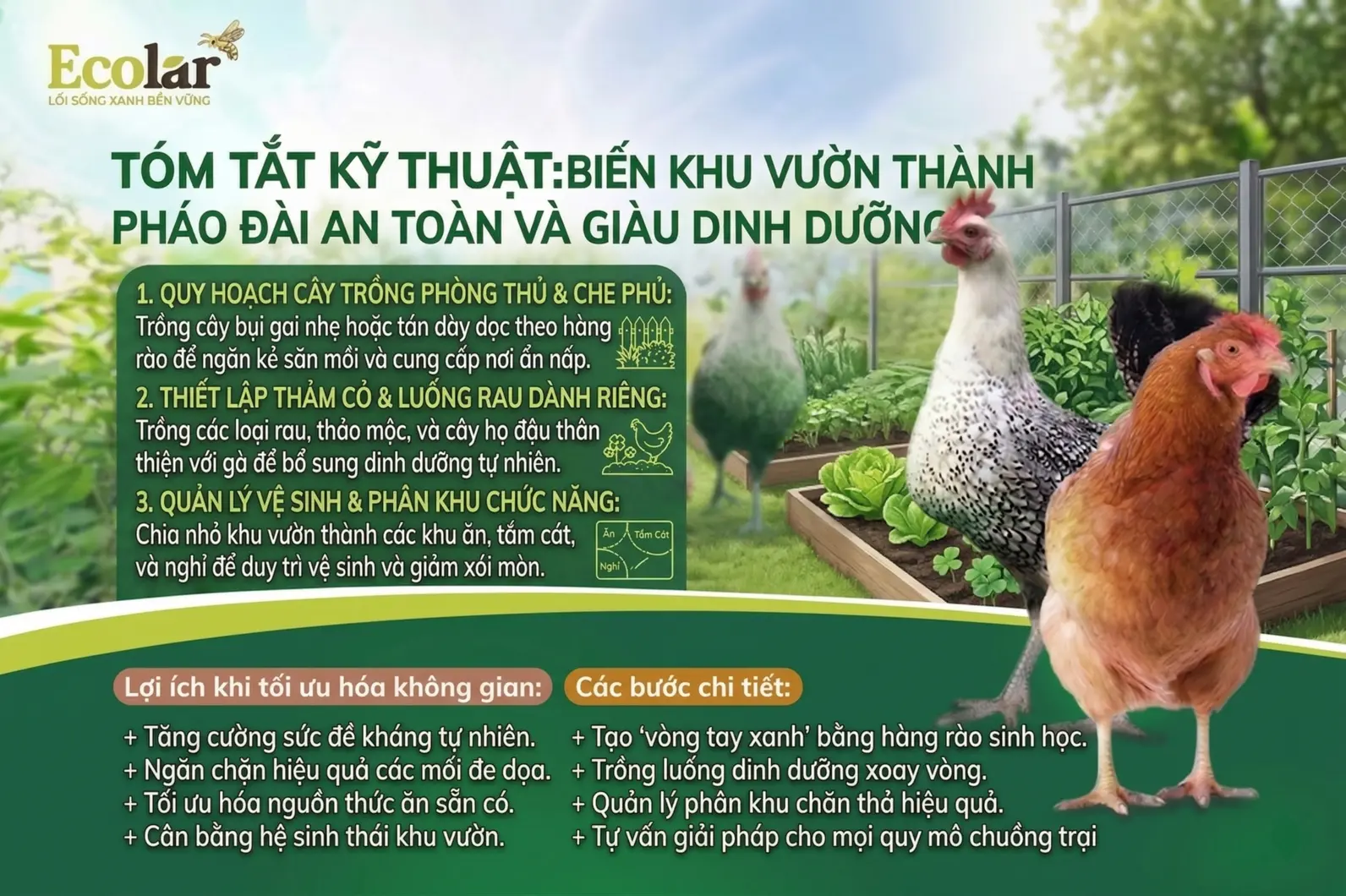 h-phao-dai-an-toan-va-giau-dinh-duong_9e5cbb7a83284164bd8f25c72a45b746.webp