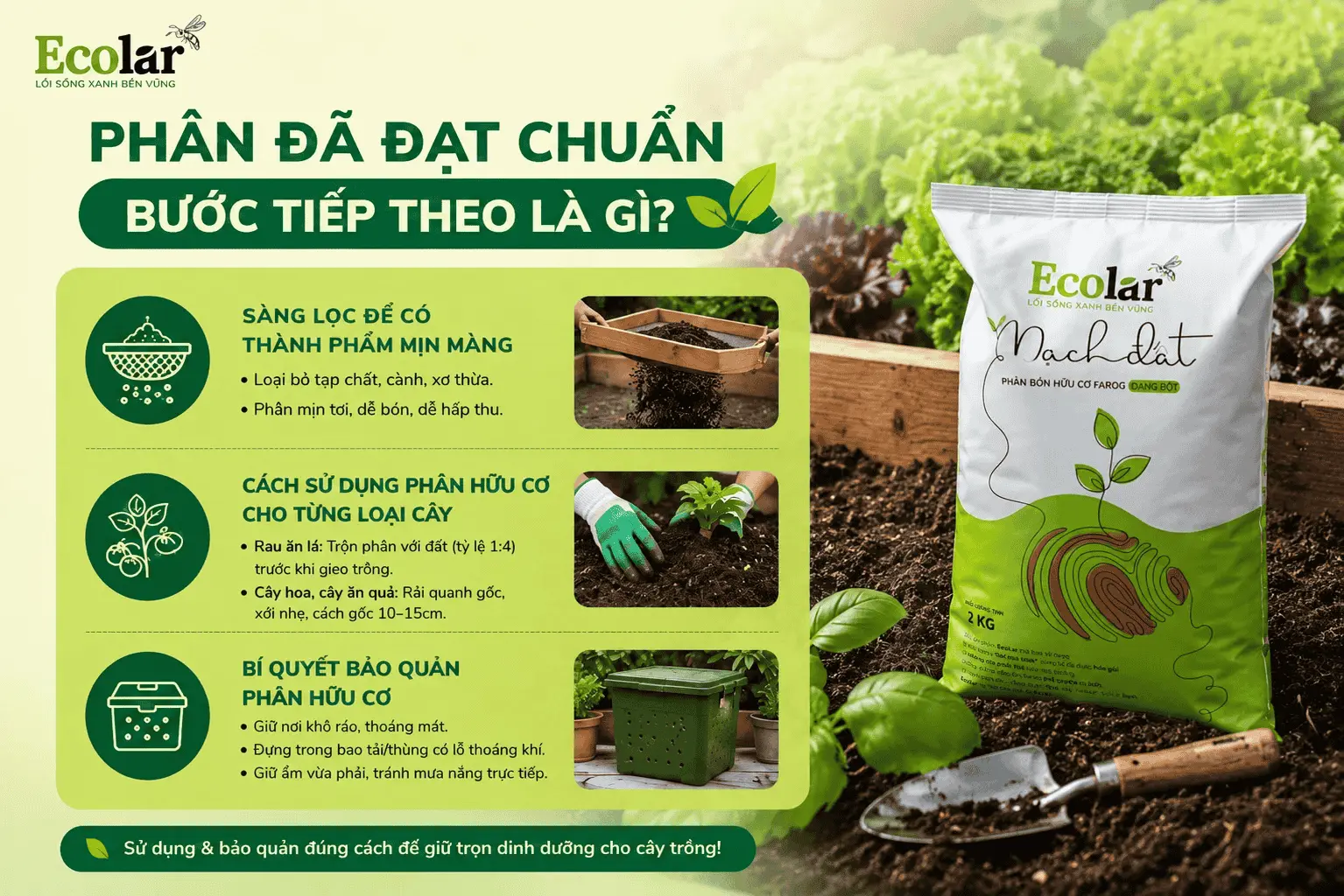 han-da-dat-chuan-buoc-tiep-theo-la-gi_82a022020b2941cd98d79bdc57c4353f (1).webp