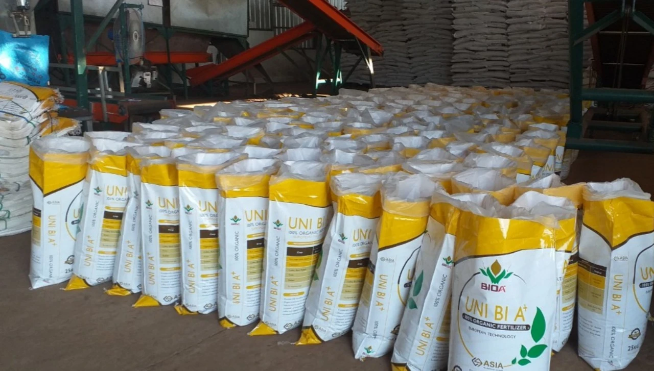 Hàng sản xuất riêng cho ASIA.webp