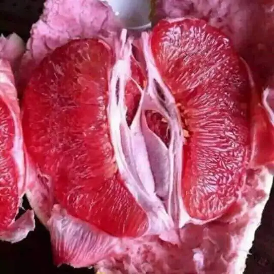 kỹ thuật trồng bưởi đỏ Phúc Kiến