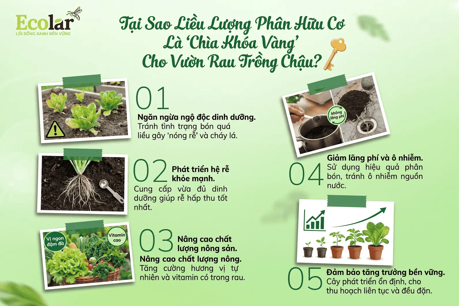 hia-khoa-vang-cho-vuon-rau-trong-chau_8b3103efaa90493182101c36b9dfcaa3 (1).webp