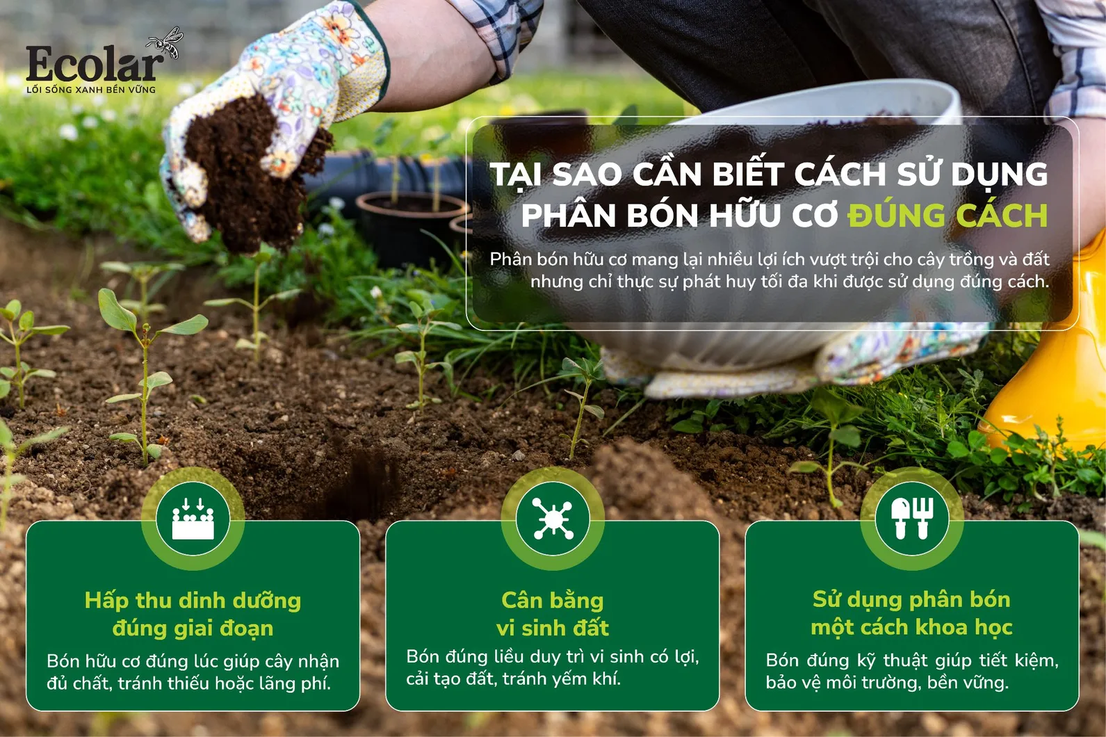 hiểu và sử dụng đúng.webp