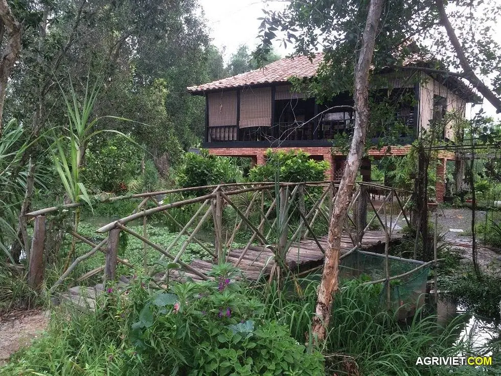 Hình, video Iphone 5 661.webp