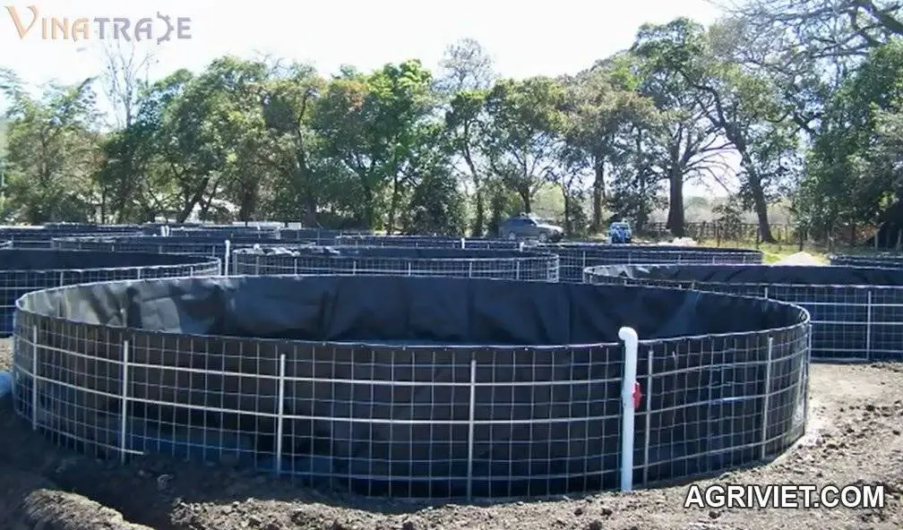 ho noi bang mang HDPE 12.webp