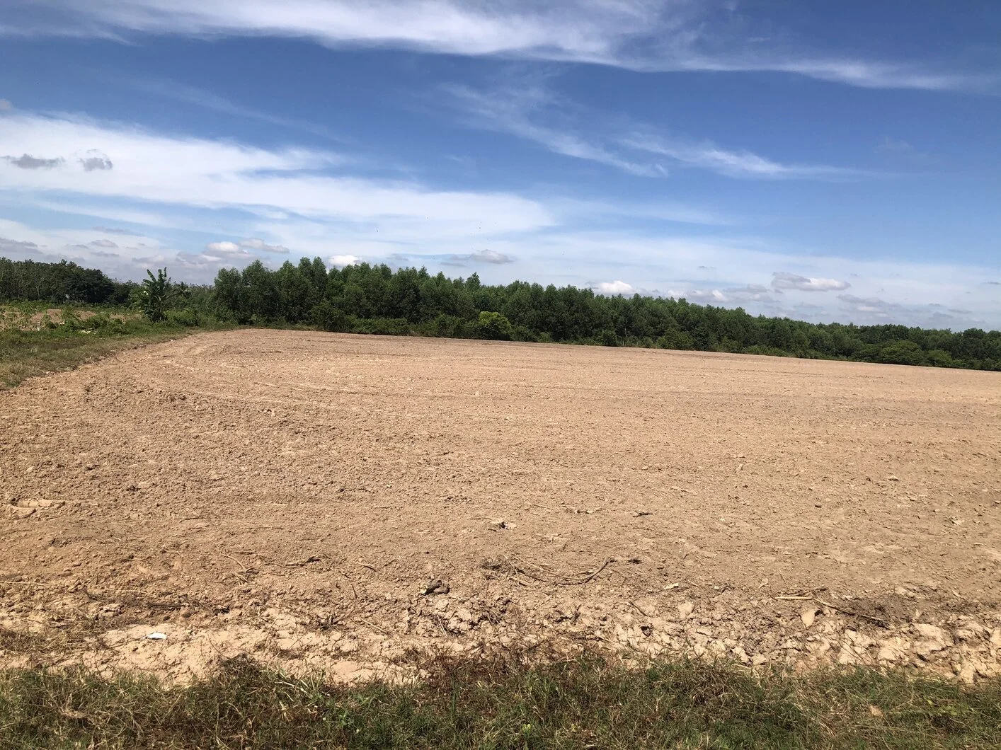 Cho thuê đất trồng trọt thử nghiệm hoặc dài hạn