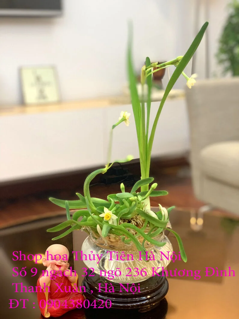 Hoa Thủy Tiên nghệ thuật 3 đã sửa 3.webp