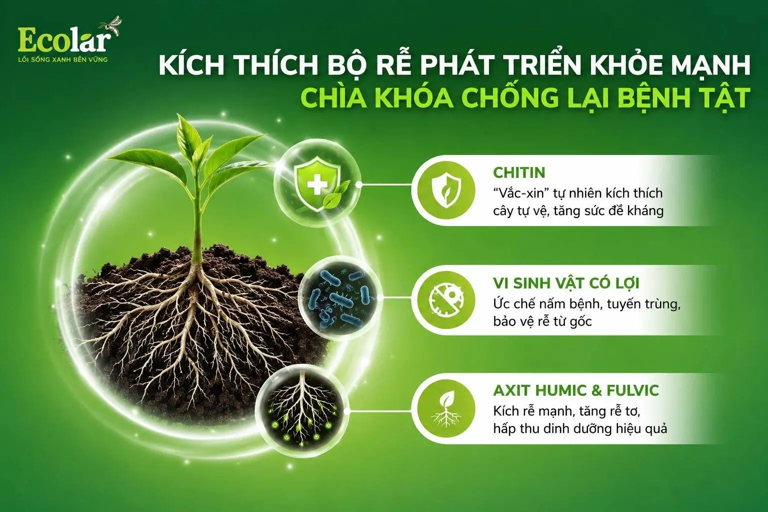 hoe-manh-chia-khoa-chong-lai-benh-tat_cb8c21739ad34bd5ba4e47b642ff613b.webp
