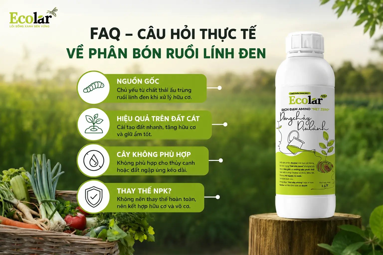 hoi-thuc-te-ve-phan-bon-ruoi-linh-den_ece70258ec7b426c87b327127c249776.webp